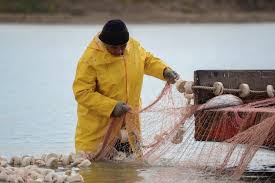 Экспорт рыбы из Атырауской области: 2800 тонн за полгода