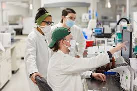 Как P&G разрабатывает продукты завтрашнего дня: инновации в быту