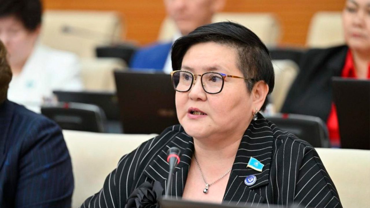 Введение нового «зеленого» налога в Казахстане: инициатива депутатов