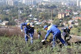 В Алматы планируют изъять 74 земельных участка для госнужд